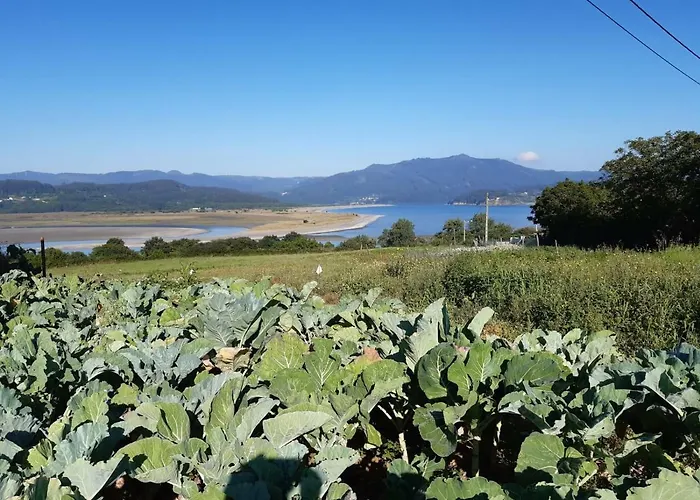 Pensjonat Bajamar Ladrido